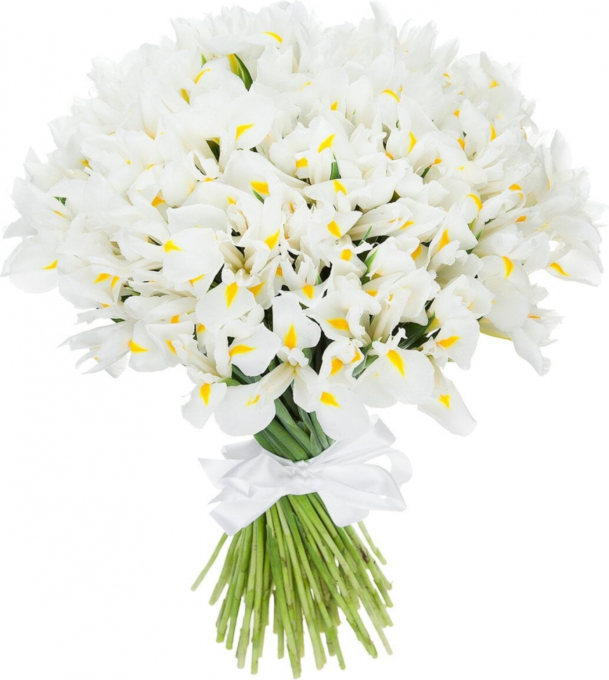 Белые ирисы